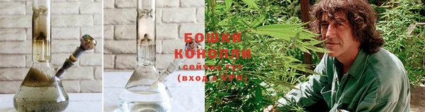 шишки Волоколамск